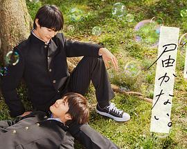 下载极客极速版海报剧照